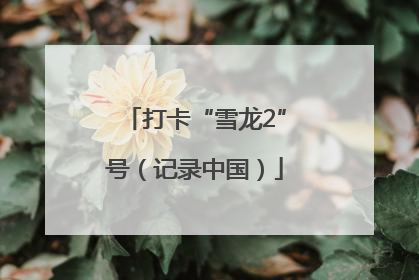 打卡“雪龙2”号（记录中国）