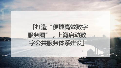 打造“便捷高效数字服务圈”，上海启动数字公共服务体系建设