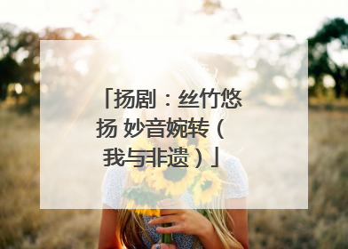 扬剧：丝竹悠扬 妙音婉转（我与非遗）