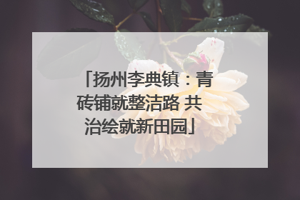扬州李典镇：青砖铺就整洁路 共治绘就新田园