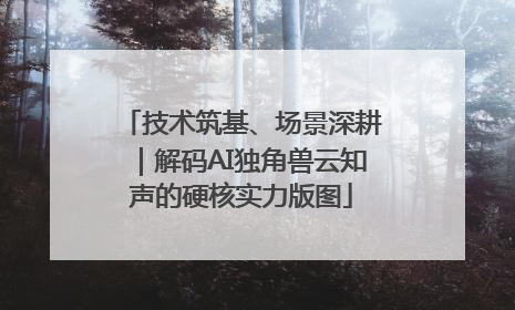 技术筑基、场景深耕｜解码AI独角兽云知声的硬核实力版图