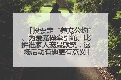 投票定“养宠公约”、为爱宠做牵引绳、比拼谁家人宠最默契，这场活动有趣更有意义