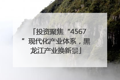 投资聚焦“4567”现代化产业体系，黑龙江产业换新景