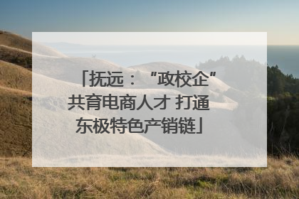抚远：“政校企”共育电商人才 打通东极特色产销链
