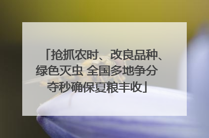 抢抓农时、改良品种、绿色灭虫 全国多地争分夺秒确保夏粮丰收