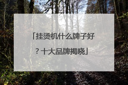 挂烫机什么牌子好？十大品牌揭晓