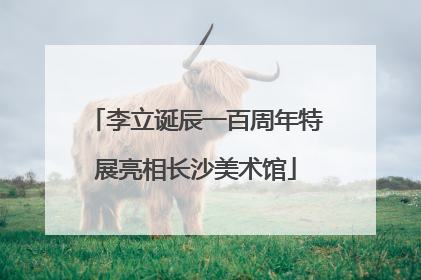 李立诞辰一百周年特展亮相长沙美术馆
