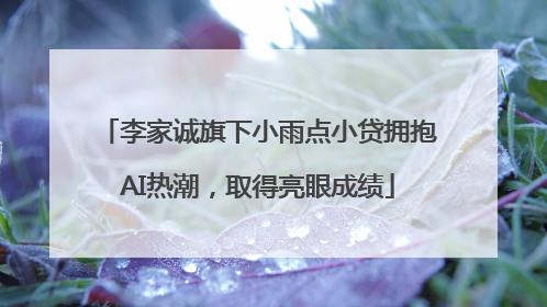 李家诚旗下小雨点小贷拥抱AI热潮，取得亮眼成绩