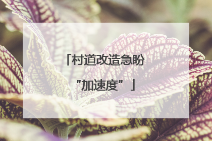 村道改造急盼“加速度”