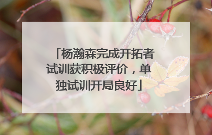 杨瀚森完成开拓者试训获积极评价，单独试训开局良好