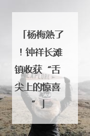 杨梅熟了！钟祥长滩镇收获“舌尖上的惊喜”