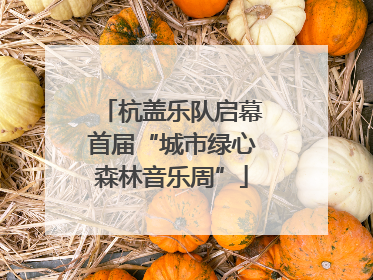 杭盖乐队启幕首届“城市绿心森林音乐周”