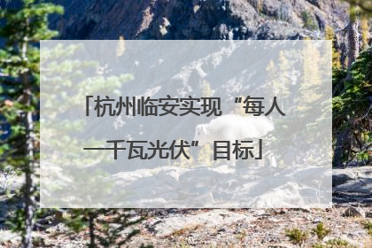 杭州临安实现“每人一千瓦光伏”目标