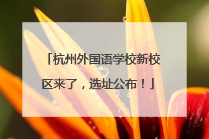 杭州外国语学校新校区来了，选址公布！