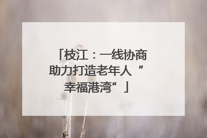 枝江：一线协商助力打造老年人“幸福港湾”