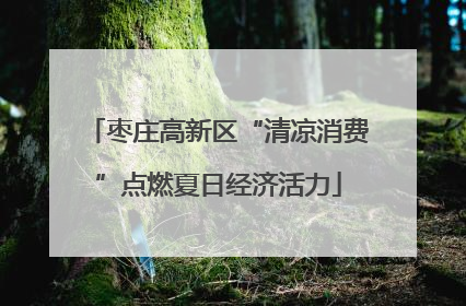 枣庄高新区“清凉消费”点燃夏日经济活力