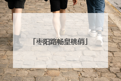 枣阳路畅皇桃俏