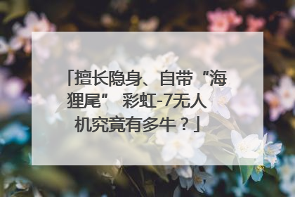 擅长隐身、自带“海狸尾” 彩虹-7无人机究竟有多牛？