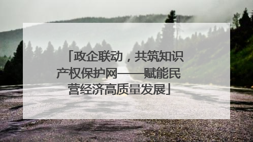 政企联动，共筑知识产权保护网——赋能民营经济高质量发展