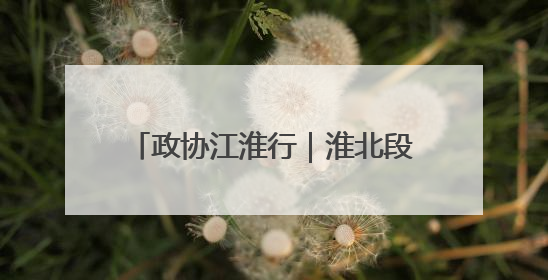 政协江淮行｜淮北段园新型功能区：“飞地经济”拔节生长