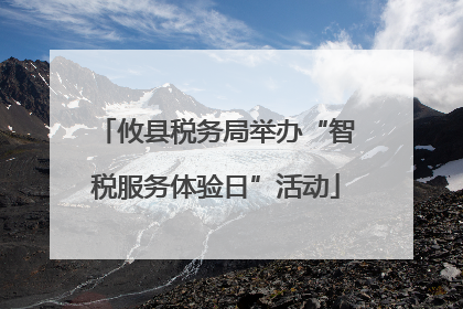 攸县税务局举办“智税服务体验日”活动