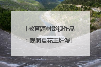 教育题材影视作品：观照夏花正烂漫