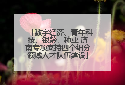 数字经济、青年科技、银龄、种业 济南专项支持四个细分领域人才队伍建设