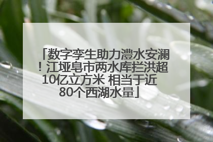 数字孪生助力澧水安澜！江垭皂市两水库拦洪超10亿立方米 相当于近80个西湖水量
