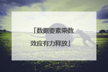 数据要素乘数效应有力释放