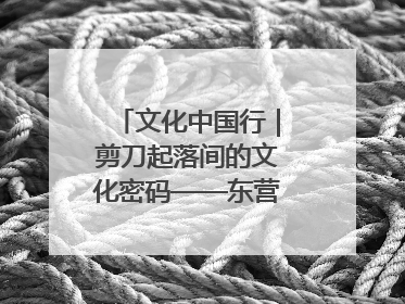 文化中国行｜剪刀起落间的文化密码——东营剪纸“剪”出非遗传承与现代生活的融合之道