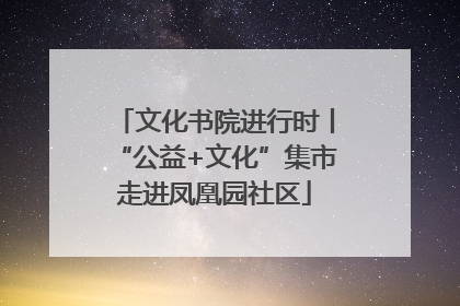文化书院进行时丨“公益+文化”集市走进凤凰园社区