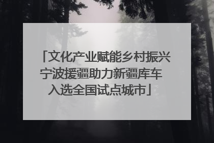 文化产业赋能乡村振兴 宁波援疆助力新疆库车入选全国试点城市