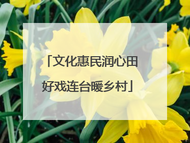文化惠民润心田 好戏连台暖乡村