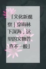 文化新观察｜穿雨林下深海，这里的文物普查不一般
