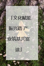 文化赋能振兴路 产业筑基共富途