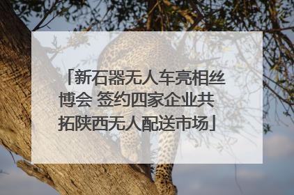 新石器无人车亮相丝博会 签约四家企业共拓陕西无人配送市场
