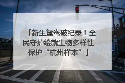 新生鸳鸯破纪录！全民守护绘就生物多样性保护“杭州样本”