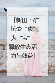 新田：矿坑变“废”为“宝” 释放生态活力与效益