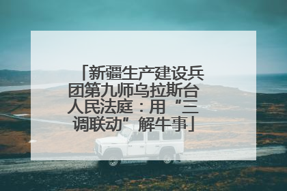 新疆生产建设兵团第九师乌拉斯台人民法庭：用“三调联动”解牛事