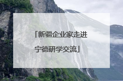 新疆企业家走进宁德研学交流