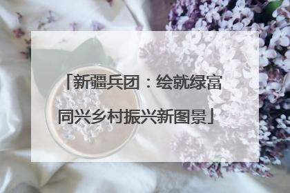 新疆兵团：绘就绿富同兴乡村振兴新图景
