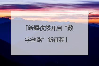 新疆孜然开启“数字丝路”新征程