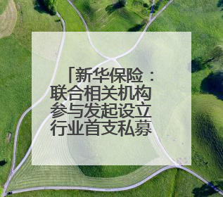 新华保险：联合相关机构参与发起设立行业首支私募证券基金，基金二期200亿元已募集完毕