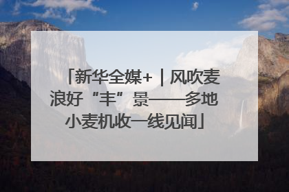 新华全媒+｜风吹麦浪好“丰”景——多地小麦机收一线见闻