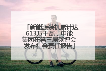 新能源装机累计达613万千瓦，申能集团在第三届碳博会发布社会责任报告