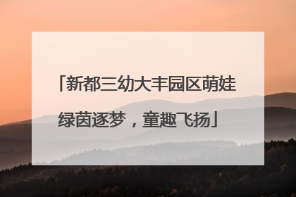 新都三幼大丰园区萌娃绿茵逐梦，童趣飞扬