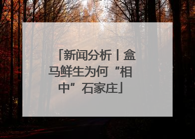 新闻分析丨盒马鲜生为何“相中”石家庄