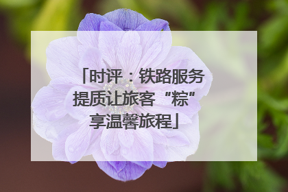 时评：铁路服务提质让旅客“粽”享温馨旅程