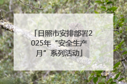 日照市安排部署2025年“安全生产月”系列活动