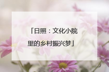 日照：文化小院里的乡村振兴梦